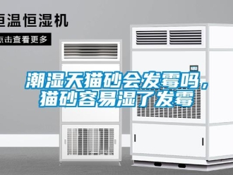 常見問題潮濕天貓砂會發(fā)霉嗎，貓砂容易濕了發(fā)霉