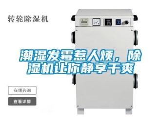 企業(yè)新聞潮濕發(fā)霉惹人煩，除濕機(jī)讓你靜享干爽