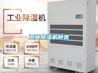 企業(yè)新聞工業(yè)除濕機種類