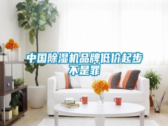 知識(shí)百科中國(guó)除濕機(jī)品牌低價(jià)起步不是罪