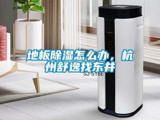 常見問題地板除濕怎么辦，杭州舒逸找東井