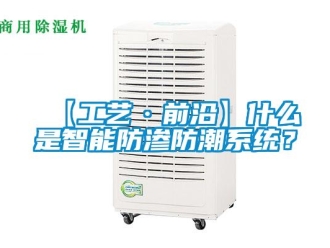 企業(yè)新聞【工藝·前沿】什么是智能防滲防潮系統(tǒng)？
