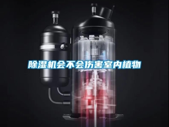 常見問題除濕機(jī)會(huì)不會(huì)傷害室內(nèi)植物