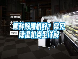 行業(yè)新聞哪種除濕機(jī)好？常見(jiàn)除濕機(jī)類型詳解