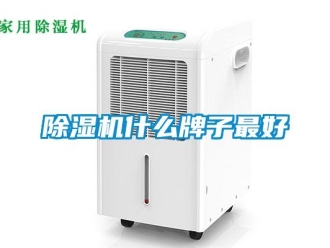 企業(yè)新聞除濕機(jī)什么牌子最好