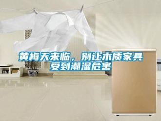 行業(yè)新聞黃梅天來(lái)臨，別讓木質(zhì)家具受到潮濕危害
