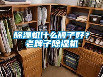 企業(yè)新聞除濕機(jī)什么牌子好？老牌子除濕機(jī)