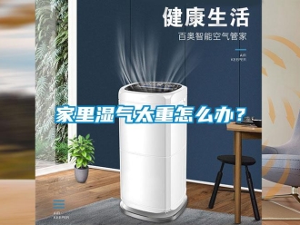 常見問題家里濕氣太重怎么辦？