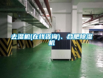 行業(yè)新聞去濕機(jī)(在線咨詢)、合肥除濕機(jī)