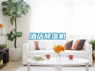 行業(yè)新聞酒店除濕機