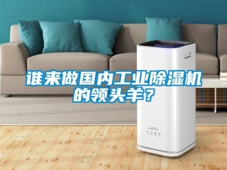 知識百科誰來做國內(nèi)工業(yè)除濕機的領(lǐng)頭羊？