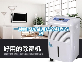 行業(yè)新聞一種除濕功能系統(tǒng)的制作方法