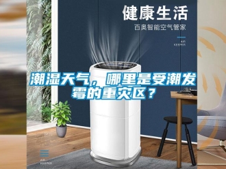 企業(yè)新聞潮濕天氣，哪里是受潮發(fā)霉的重災區(qū)？