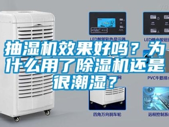常見問題抽濕機效果好嗎？為什么用了除濕機還是很潮濕？