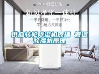常見(jiàn)問(wèn)題供應(yīng)轉(zhuǎn)輪除濕機(jī)原理 管道除濕機(jī)原理