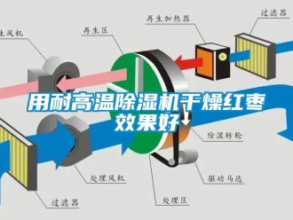 知識(shí)百科用耐高溫除濕機(jī)干燥紅棗效果好
