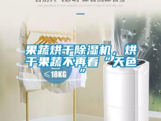 行業(yè)新聞果蔬烘干除濕機(jī)，烘干果蔬不再看“天色”
