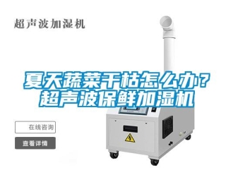 常見(jiàn)問(wèn)題夏天蔬菜干枯怎么辦？超聲波保鮮加濕機(jī)
