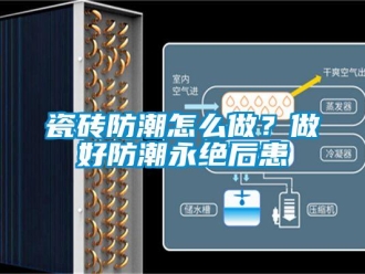 常見問題瓷磚防潮怎么做？做好防潮永絕后患