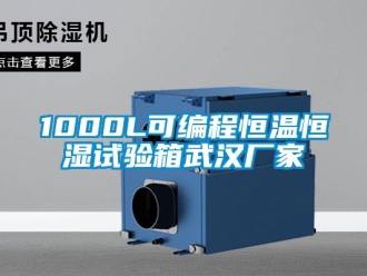 常見問題1000L可編程恒溫恒濕試驗(yàn)箱武漢廠家
