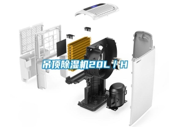 企業(yè)新聞吊頂除濕機(jī)20L／H