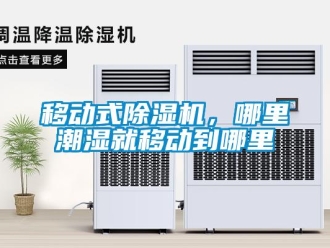 知識百科移動式除濕機(jī)，哪里潮濕就移動到哪里