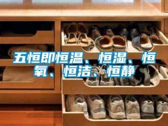 知識百科五恒即恒溫、恒濕、恒氧、恒潔、恒靜