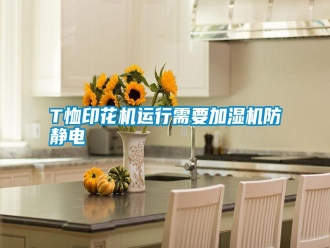 常見問題T恤印花機運行需要加濕機防靜電