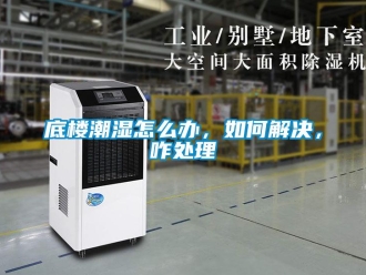 常見問題底樓潮濕怎么辦，如何解決，咋處理