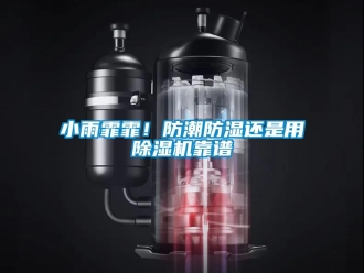 知識(shí)百科小雨霏霏！防潮防濕還是用除濕機(jī)靠譜
