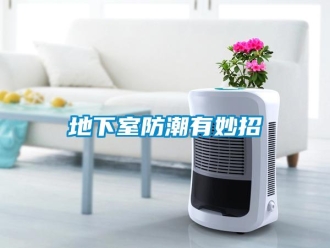 企業(yè)新聞地下室防潮有妙招