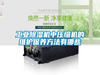 企業(yè)新聞工業(yè)除濕機(jī)中壓縮機(jī)的維護(hù)保養(yǎng)方法有哪些