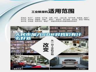 行業(yè)新聞人民幣加入SDR對我們有什么好處