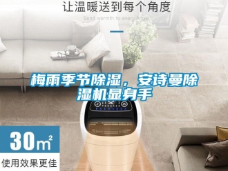 企業(yè)新聞梅雨季節(jié)除濕，安詩曼除濕機顯身手