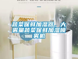 知識百科蔬菜保鮮加濕器，大霧量蔬菜保鮮加濕噴霧機