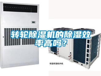 常見問題轉輪除濕機的除濕效率高嗎？