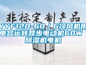 企業(yè)新聞YYF120-60／6冷風機用電容運轉異步電動機60W 除濕機電機