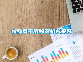 行業(yè)新聞烤鴨風(fēng)干用除濕機(jī)效果好