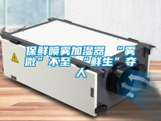 常見問題保鮮噴霧加濕器 “霧微”不至 “鮮生”奪人