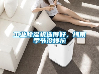 企業(yè)新聞工業(yè)除濕機選得好，梅雨季節(jié)沒煩惱