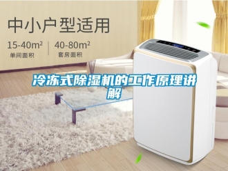 行業(yè)新聞冷凍式除濕機的工作原理講解