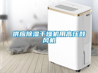 行業(yè)新聞供應(yīng)除濕干燥機(jī)用高壓鼓風(fēng)機(jī)