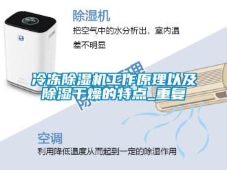 行業(yè)新聞冷凍除濕機(jī)工作原理以及除濕干燥的特點(diǎn)_重復(fù)