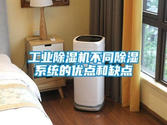企業(yè)新聞工業(yè)除濕機(jī)不同除濕系統(tǒng)的優(yōu)點(diǎn)和缺點(diǎn)