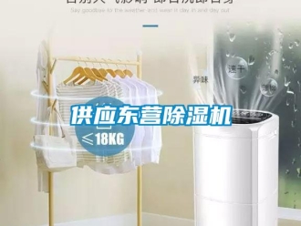 行業(yè)新聞供應(yīng)東營除濕機(jī)