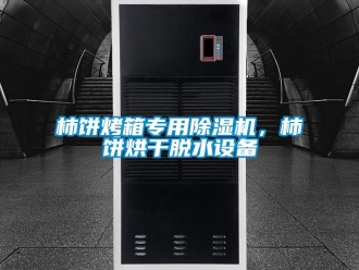 知識(shí)百科柿餅烤箱專用除濕機(jī)，柿餅烘干脫水設(shè)備