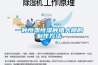 一種恒溫恒濕種植大棚的制作方法