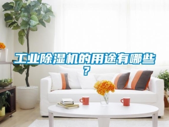 企業(yè)新聞工業(yè)除濕機的用途有哪些？