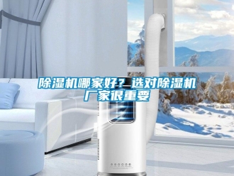 常見問題除濕機哪家好？選對除濕機廠家很重要