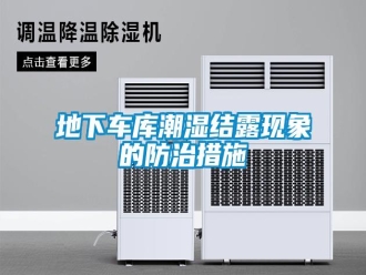 企業(yè)新聞地下車庫潮濕結(jié)露現(xiàn)象的防治措施